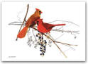 Birds and Butterflies